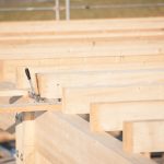 Holzbau Molsen Neubau